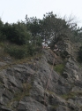 David Jennions (Pythonist) Climbing  Gallery: Bristol Apr 06 097_b.jpg